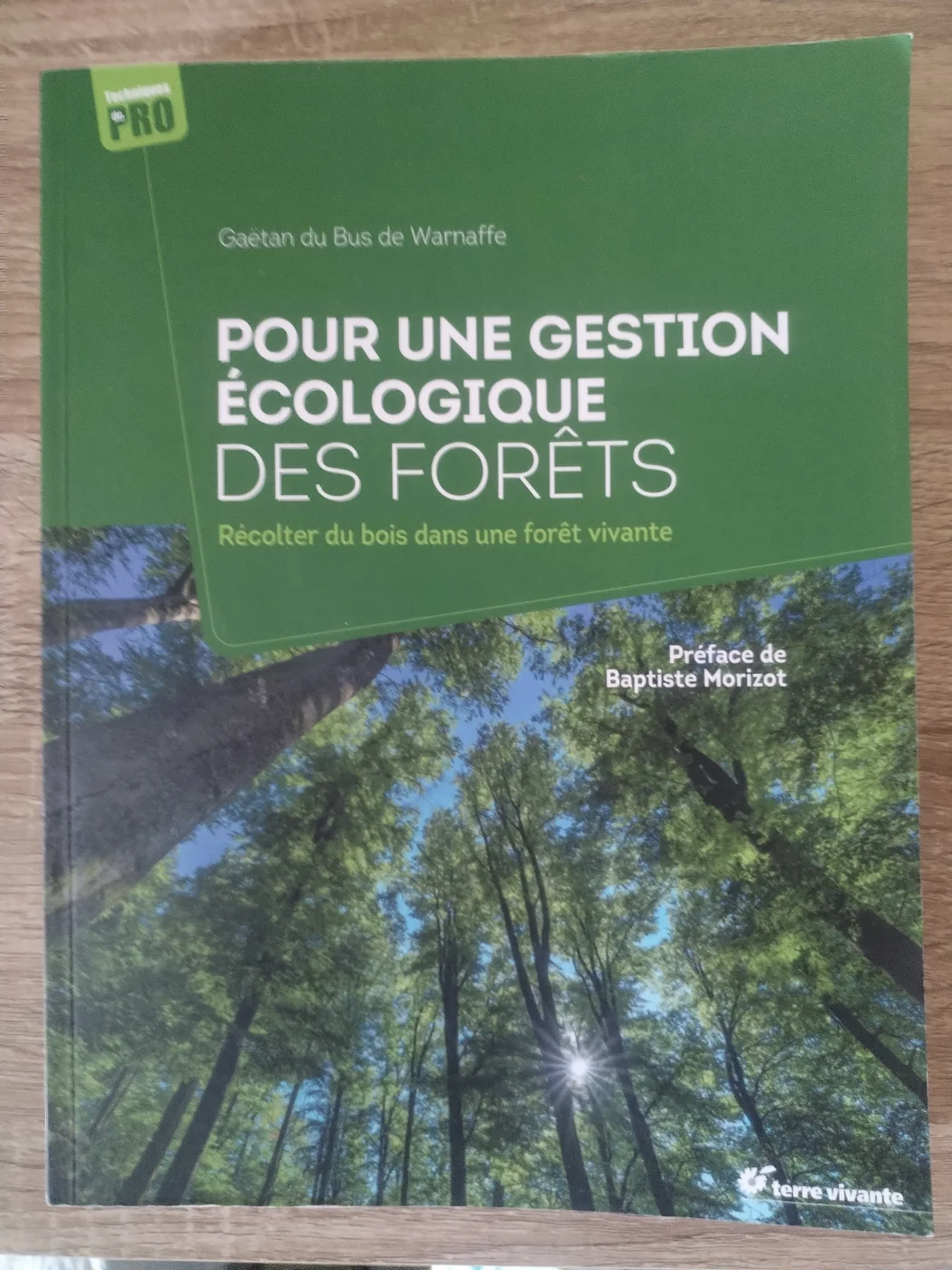 Photographie de la couverture : Pour une gestion écologique des forêts