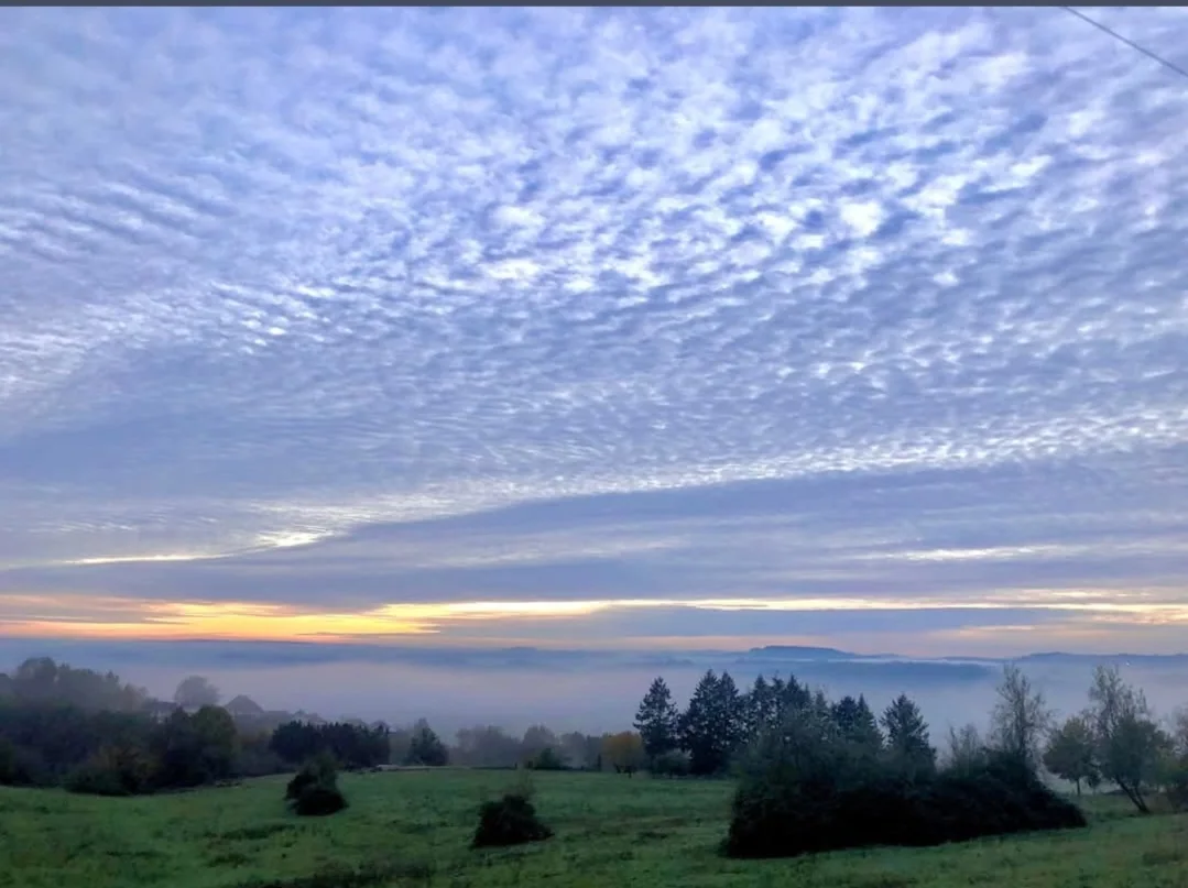 Paysage
